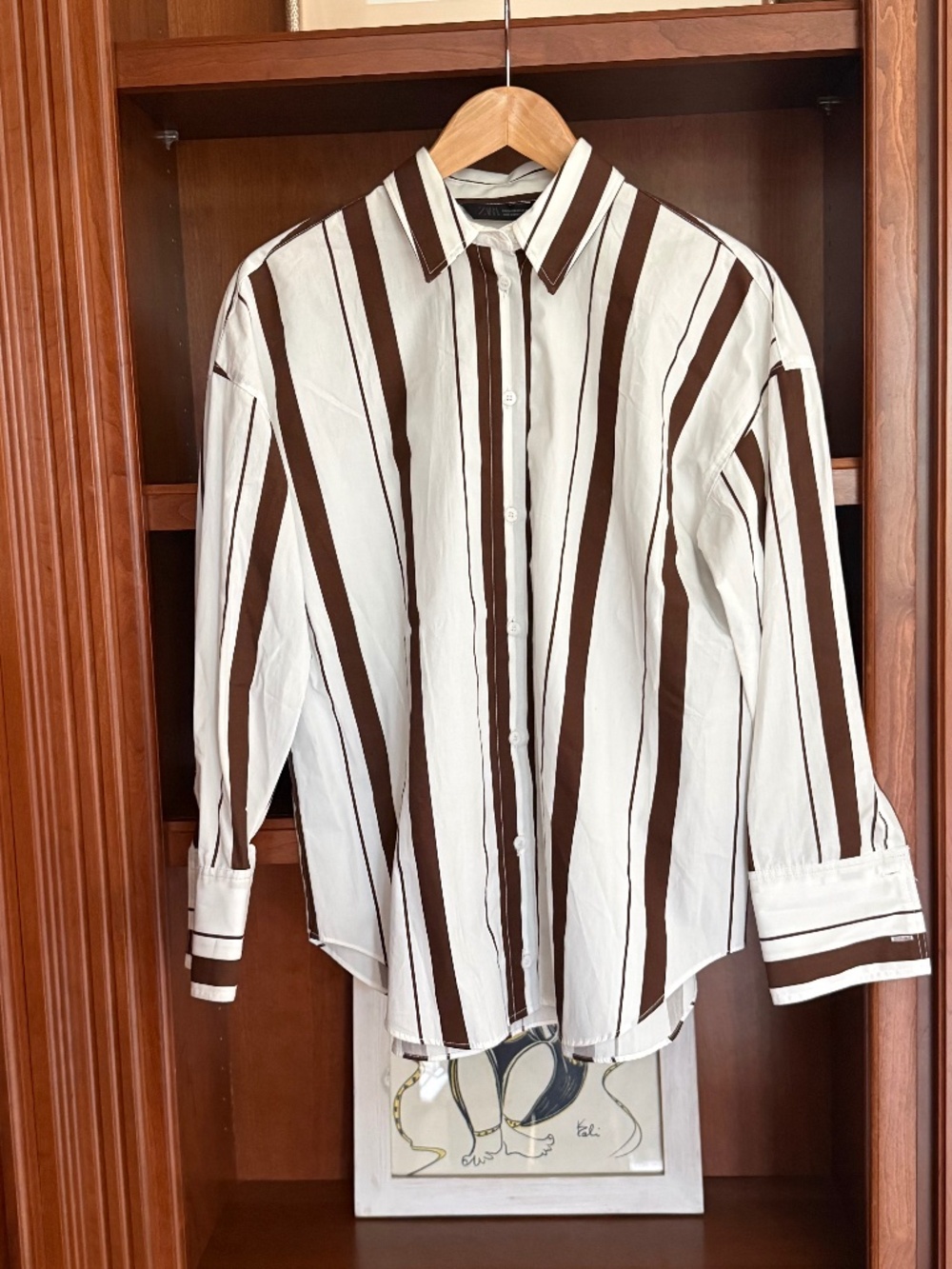 Zara Button Down Brown Stripe Shirt